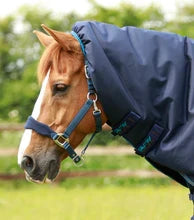 Premier Equine Titan 200g Turnout Rug with Snugfit Neck Cover