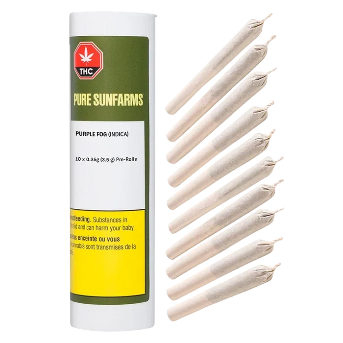 Studio-style front view of a Pure Sunfarms Purple Fog PR 10 x 0.35 g tube standing next to a fanned row of paper-wrapped pre-rolls.