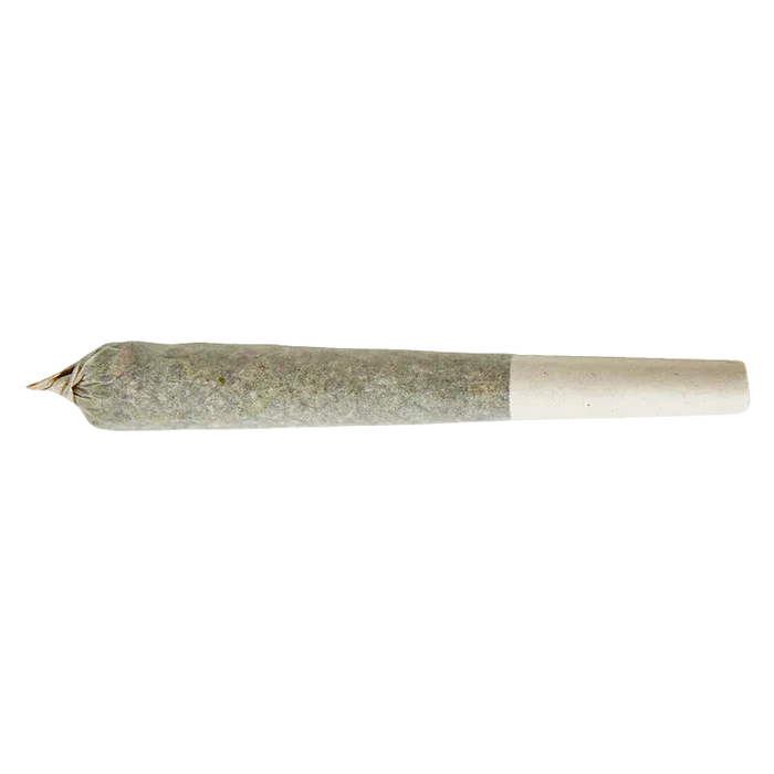 Side-on close-up of the Red Hawaiian Distillate Infused PR 1 x 1 g pre-roll, lying horizontally on a white background.