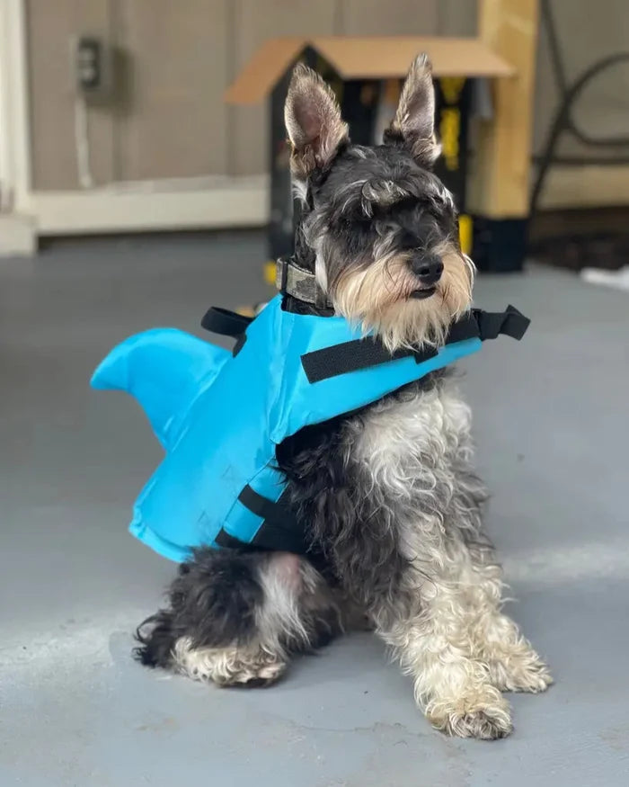 Schnauzer Life Jacket