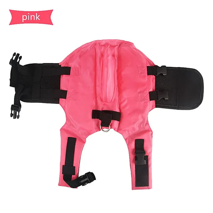 Schnauzer Life Jacket