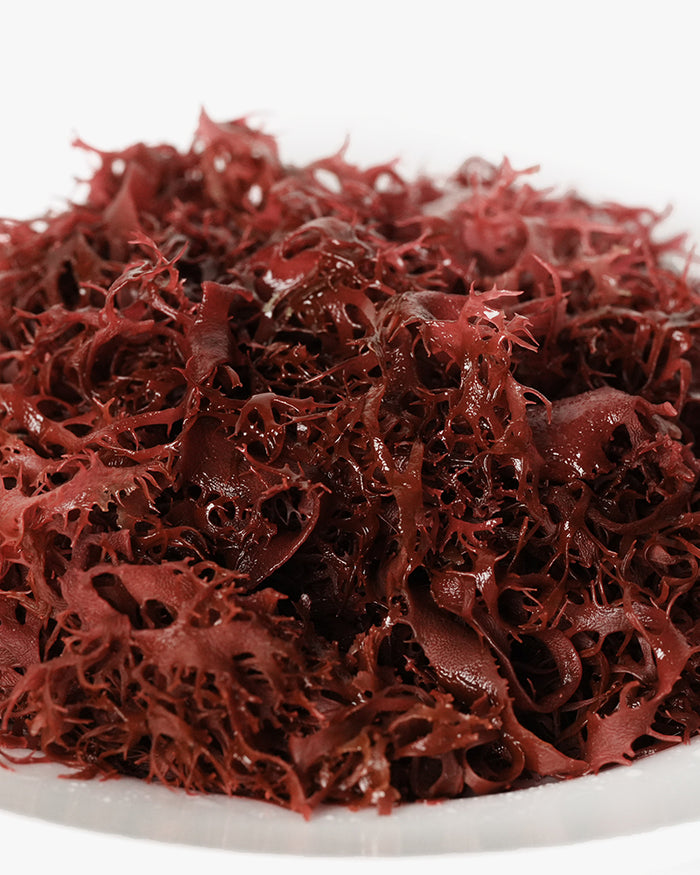 Sea Vegetables, Dried Tosakanori Seaweed