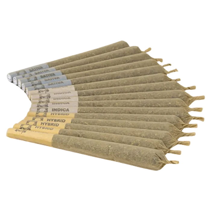 Violet Tourist 15 g Snicker-Giggle-Chuckle-Bums Variety Pack PR 15 x 1 g Pre-Rolls