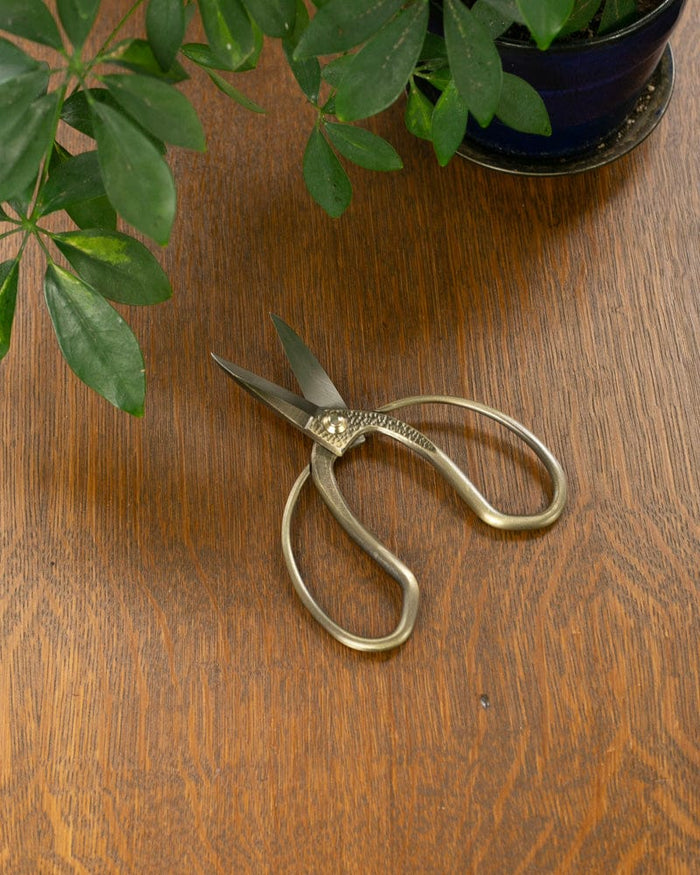 Tanabe Hasami, Japanese Gardening Scissors, Bronze Long Blade