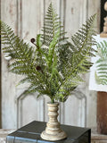 Tassel Fern Bush, 21"