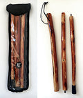 Walking Stick Collapsible