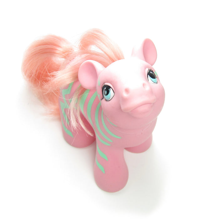 Zig Zag the Zebra My Little Pony Friends